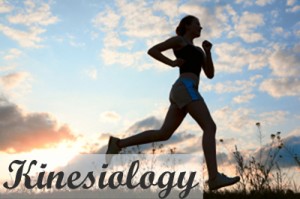 Kinesiology or exercise therapy with Stephanie Lafazanos Intune Holistics