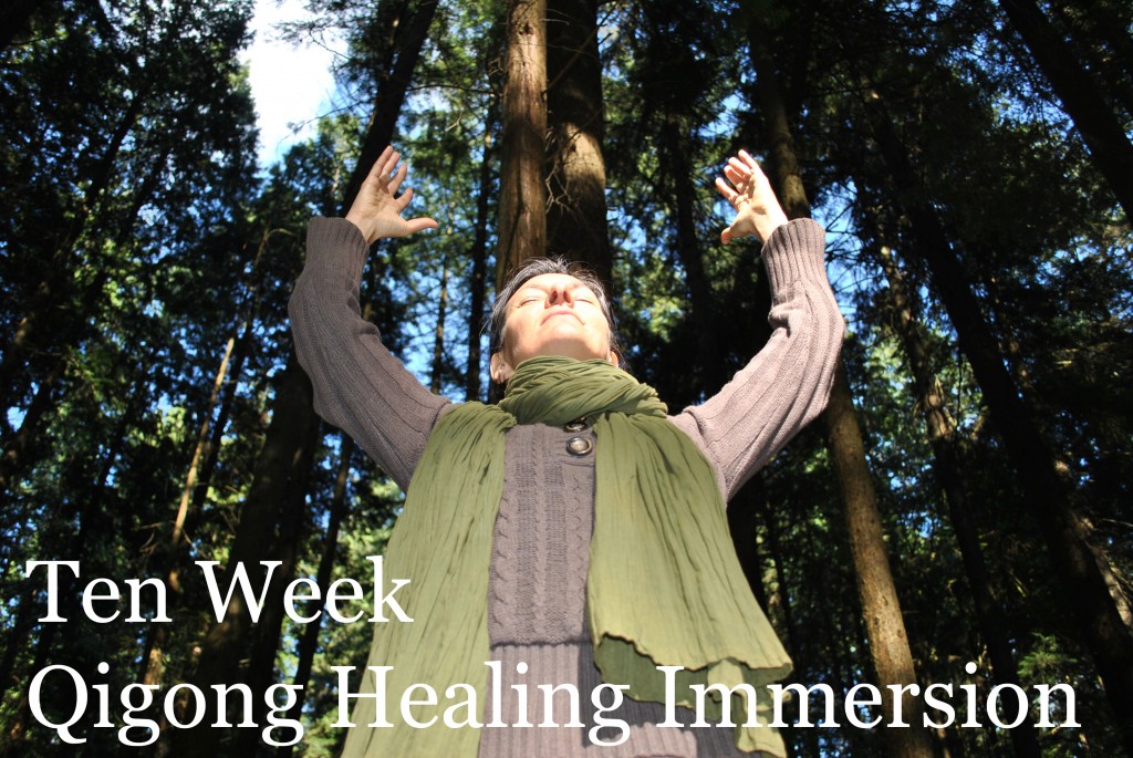 Ten Week Qigong Healing Immersion Course Medical Intuitive Assessment